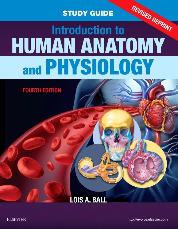 Study Guide for Introduction to Human Anatomy and Physiology - Revised Reprints: Study Guide for Introduction to Human Anatomy and Physiology - Revised Reprints