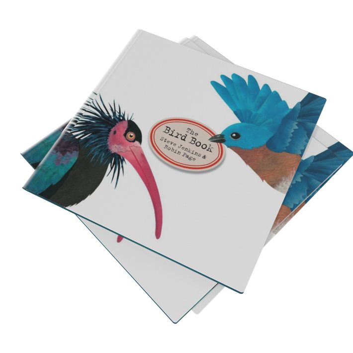 The Bird Book