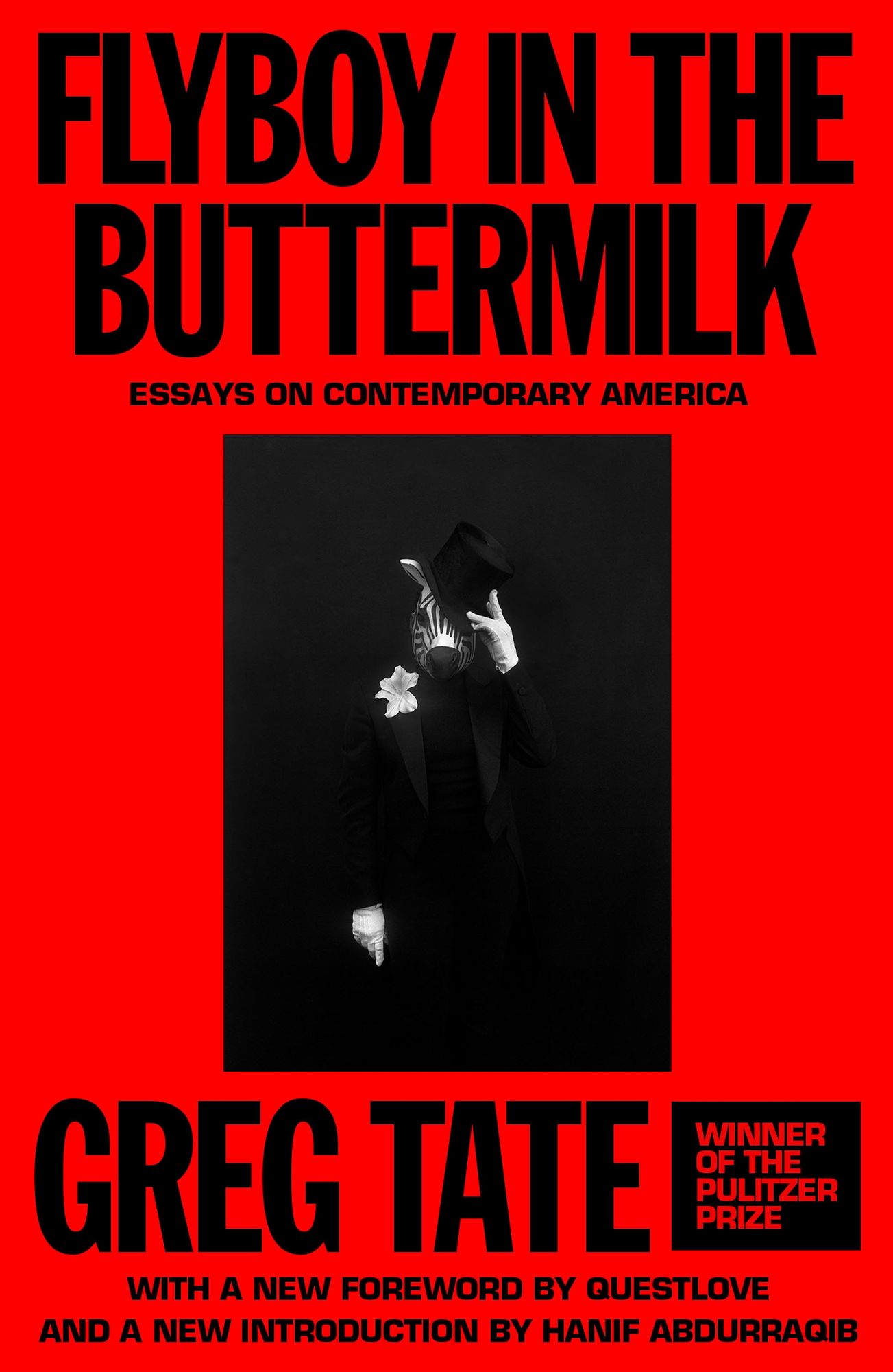 Flyboy in the Buttermilk: Essays on Contemporary America