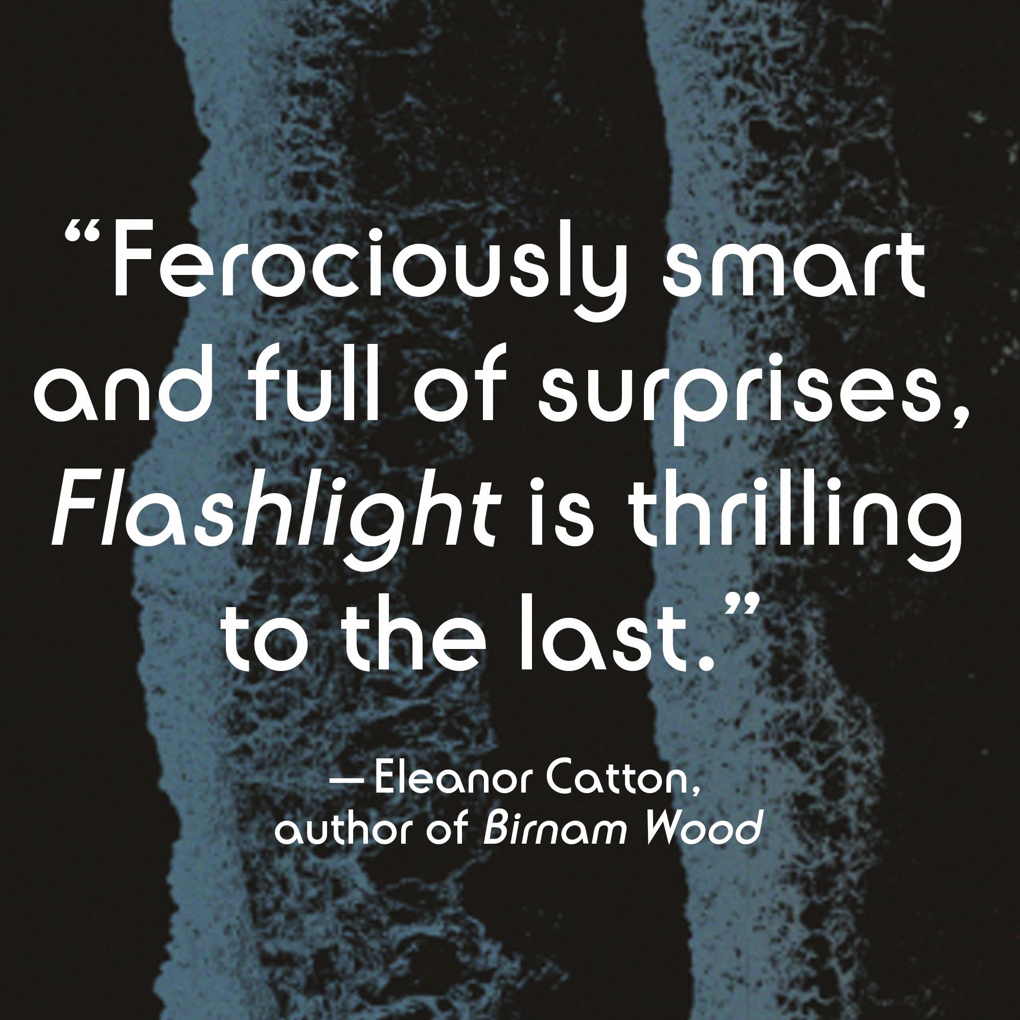 Flashlight: A Novel