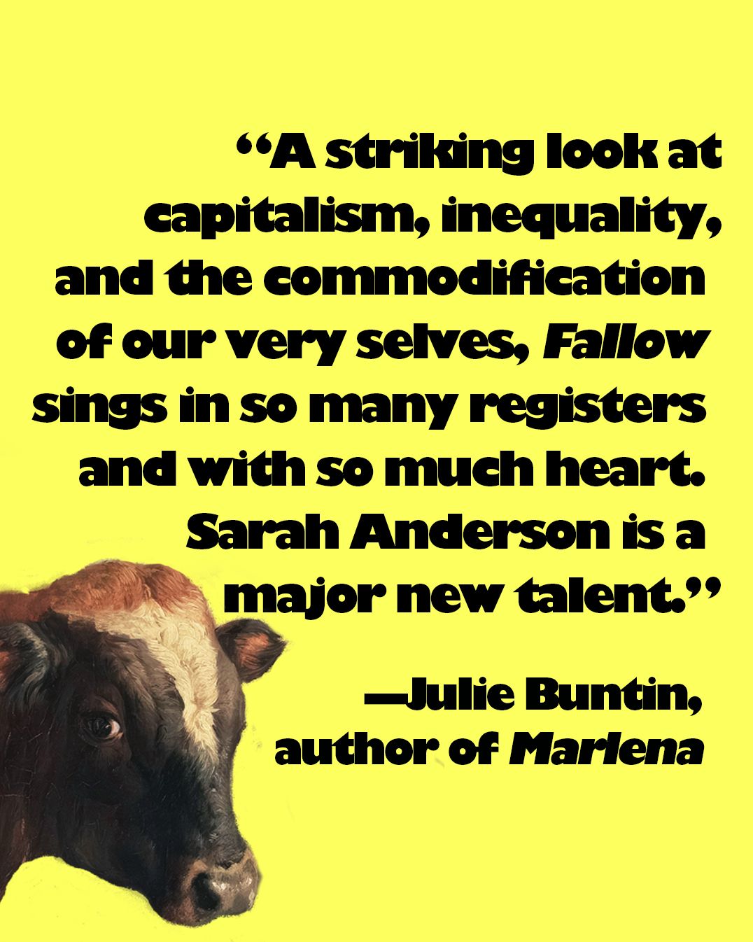 Fallow: A Novel