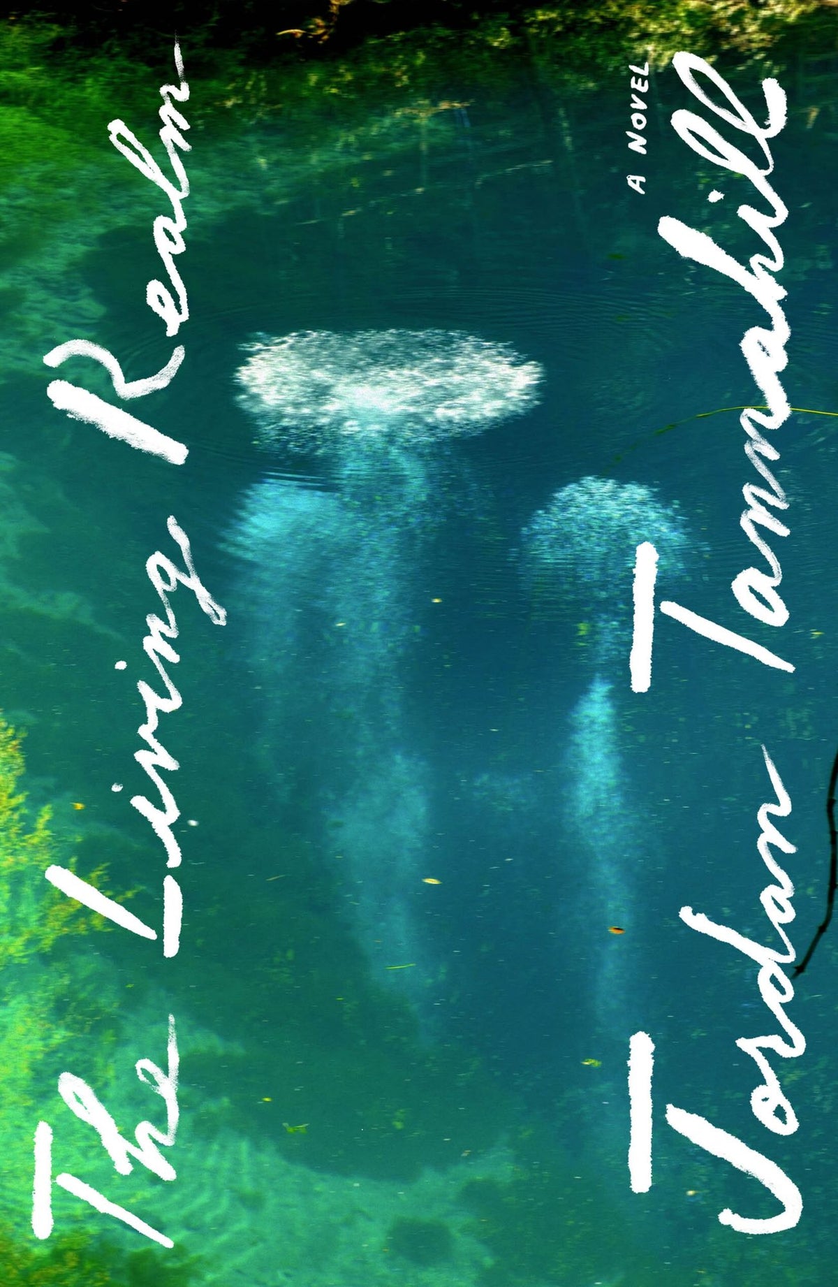 The Living Realm: A Novel