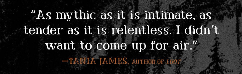 What Came West: A Novel