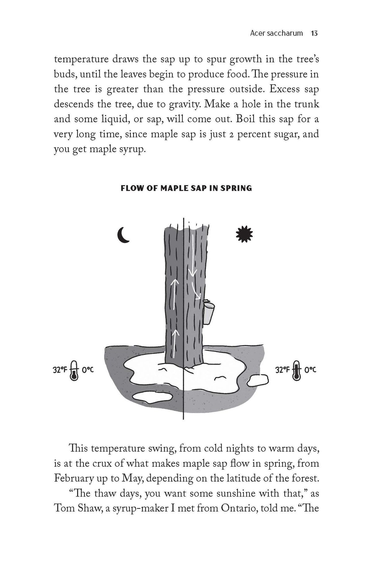 Maple Syrup: A Short History of Canada's Sweetest Obsession