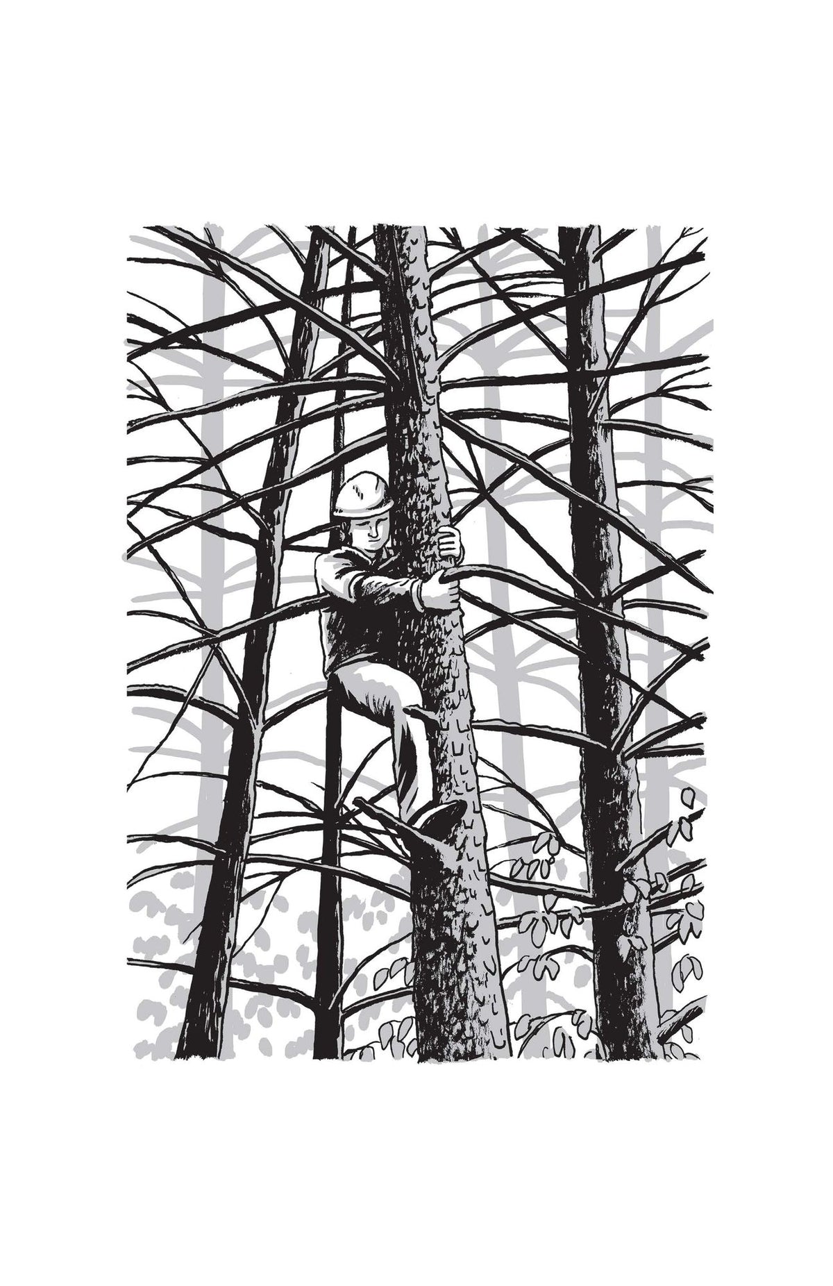 Maple Syrup: A Short History of Canada's Sweetest Obsession
