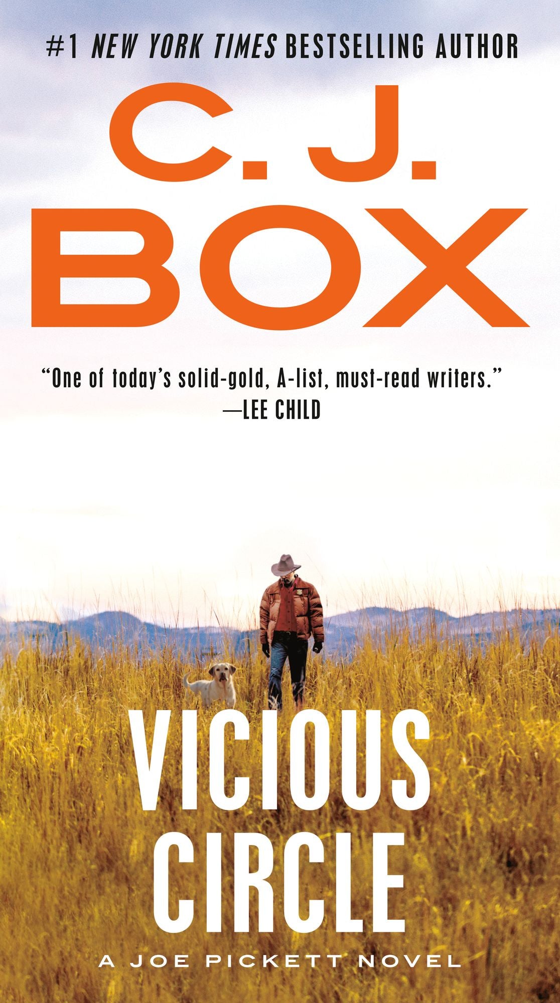 Vicious Circle (Joe Pickett Series #17)