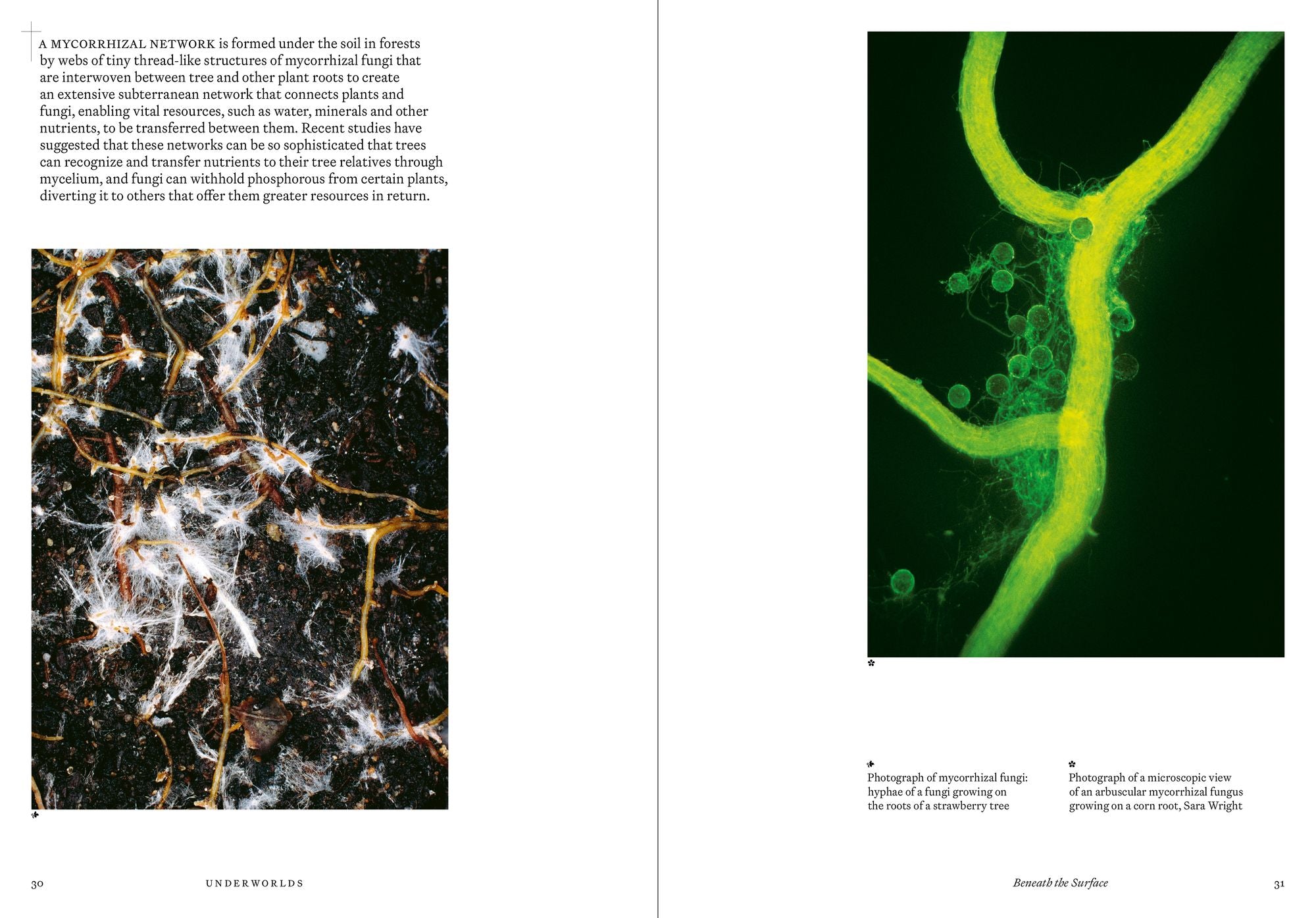 Underworlds: A Compelling Journey Through Subterranean Realms, Real and Imagined