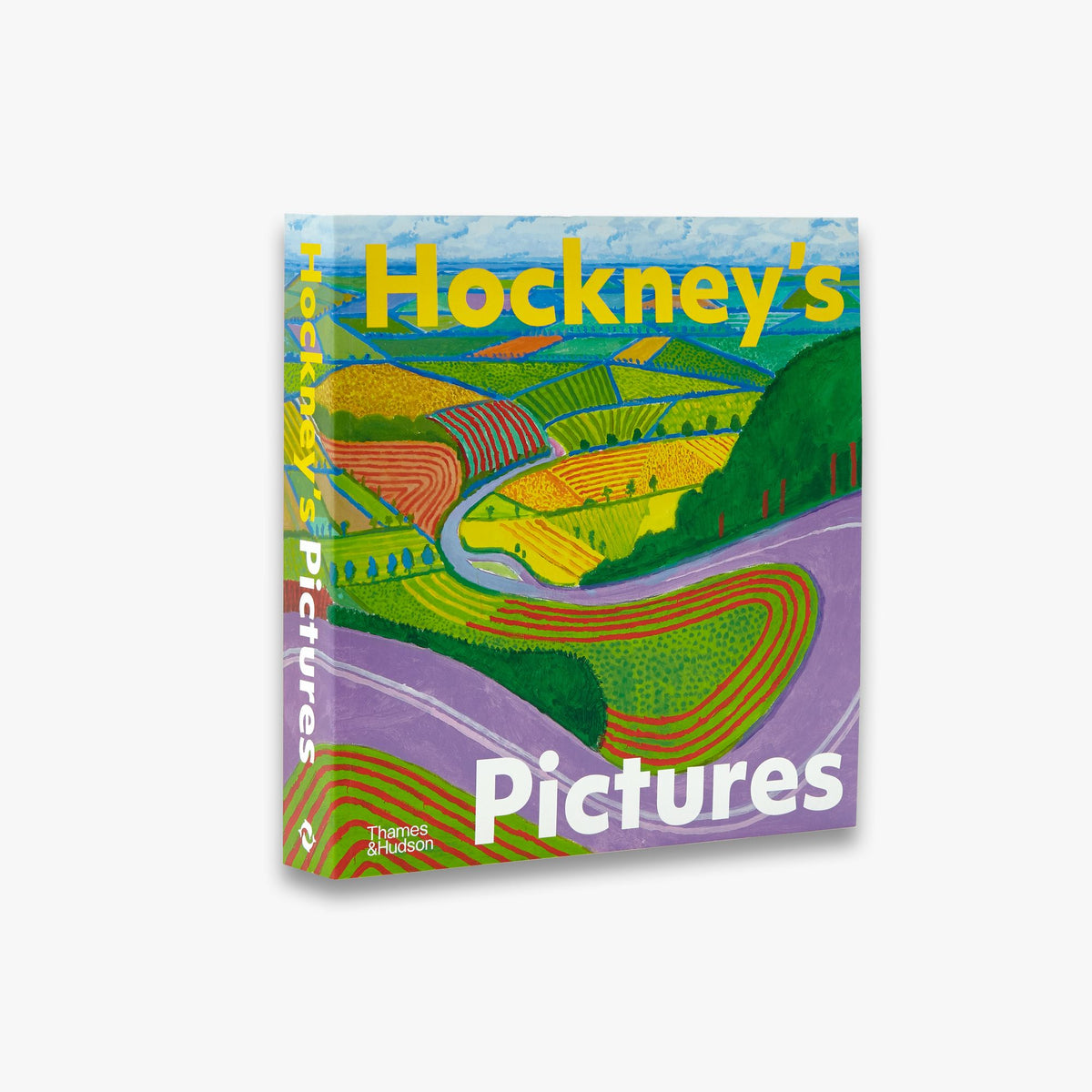 Hockney's Pictures