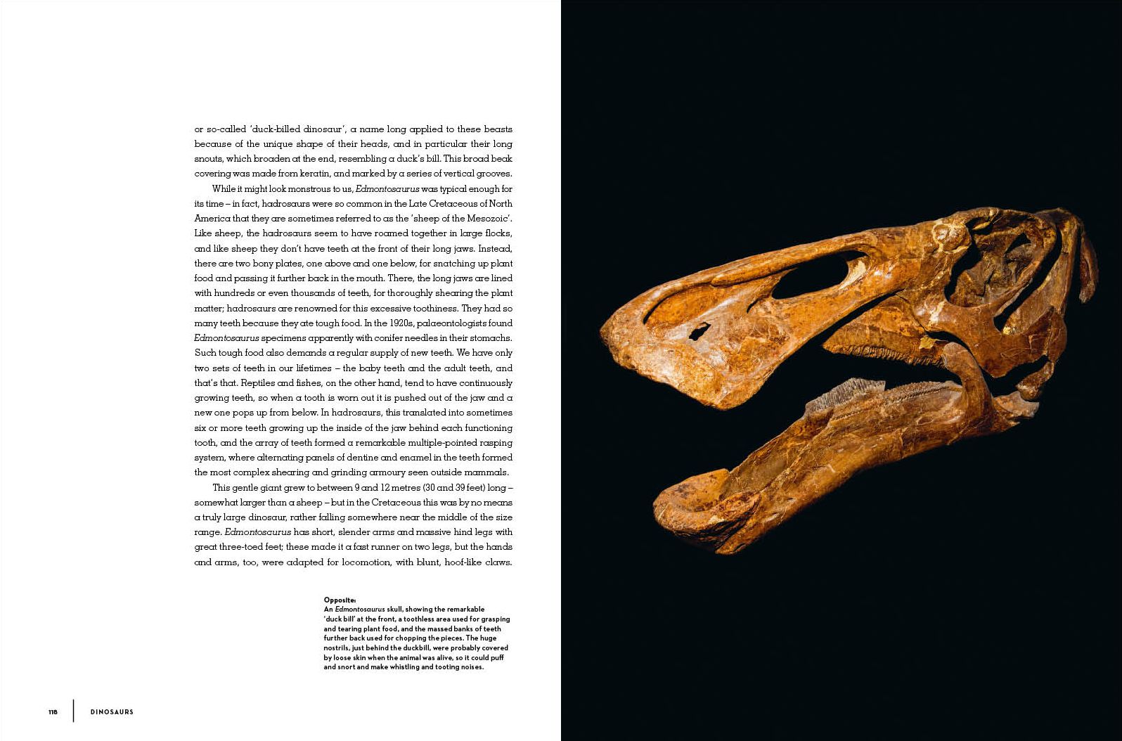 Dinosaurs: New Visions of a Lost World