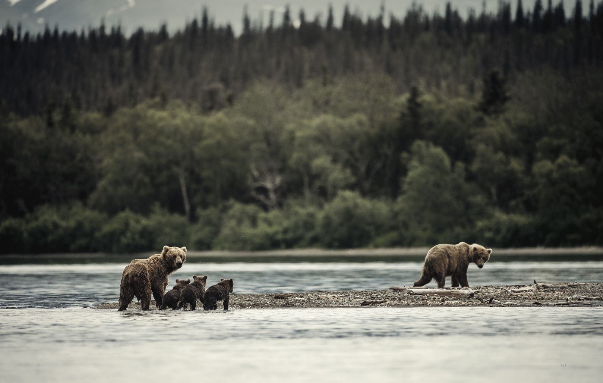 Wild Land: A Journey into the Earth's Last Wilds