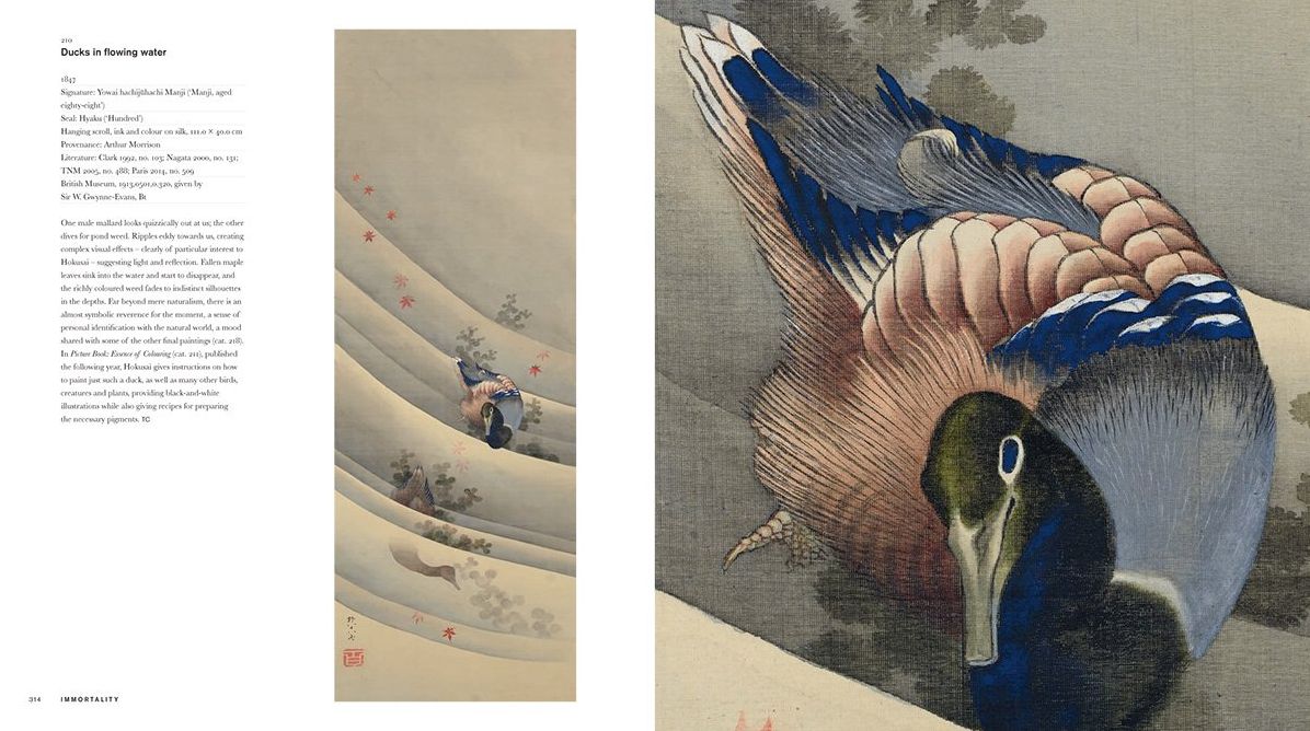 Hokusai: Beyond the Great Wave