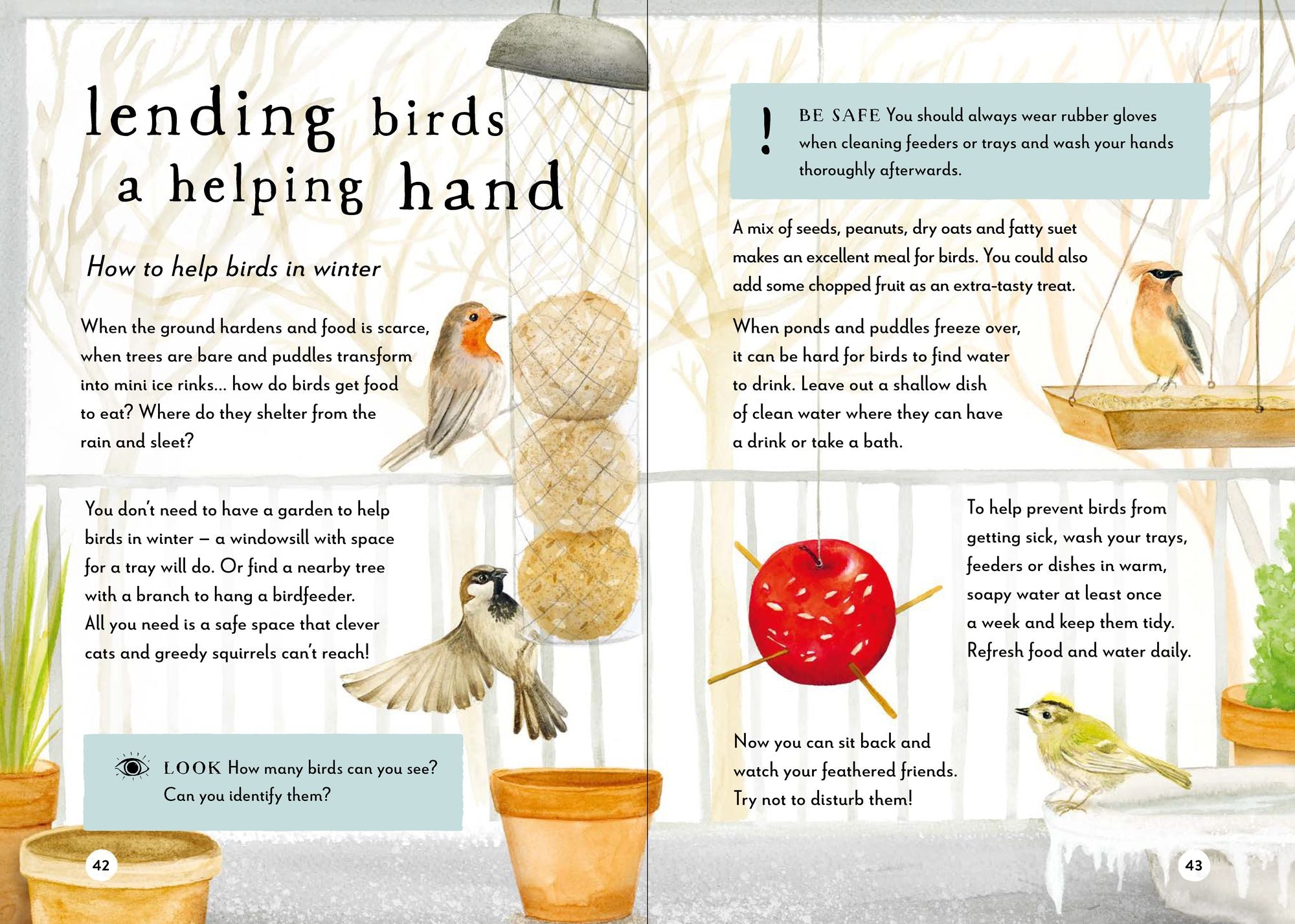 A Field Guide to Winter: Play and Learn in Nature