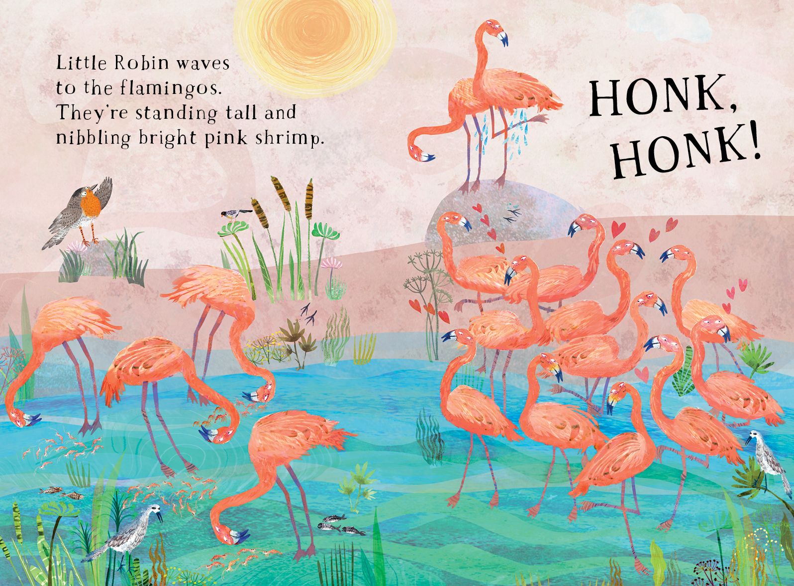 Little Robin's Book of Birds