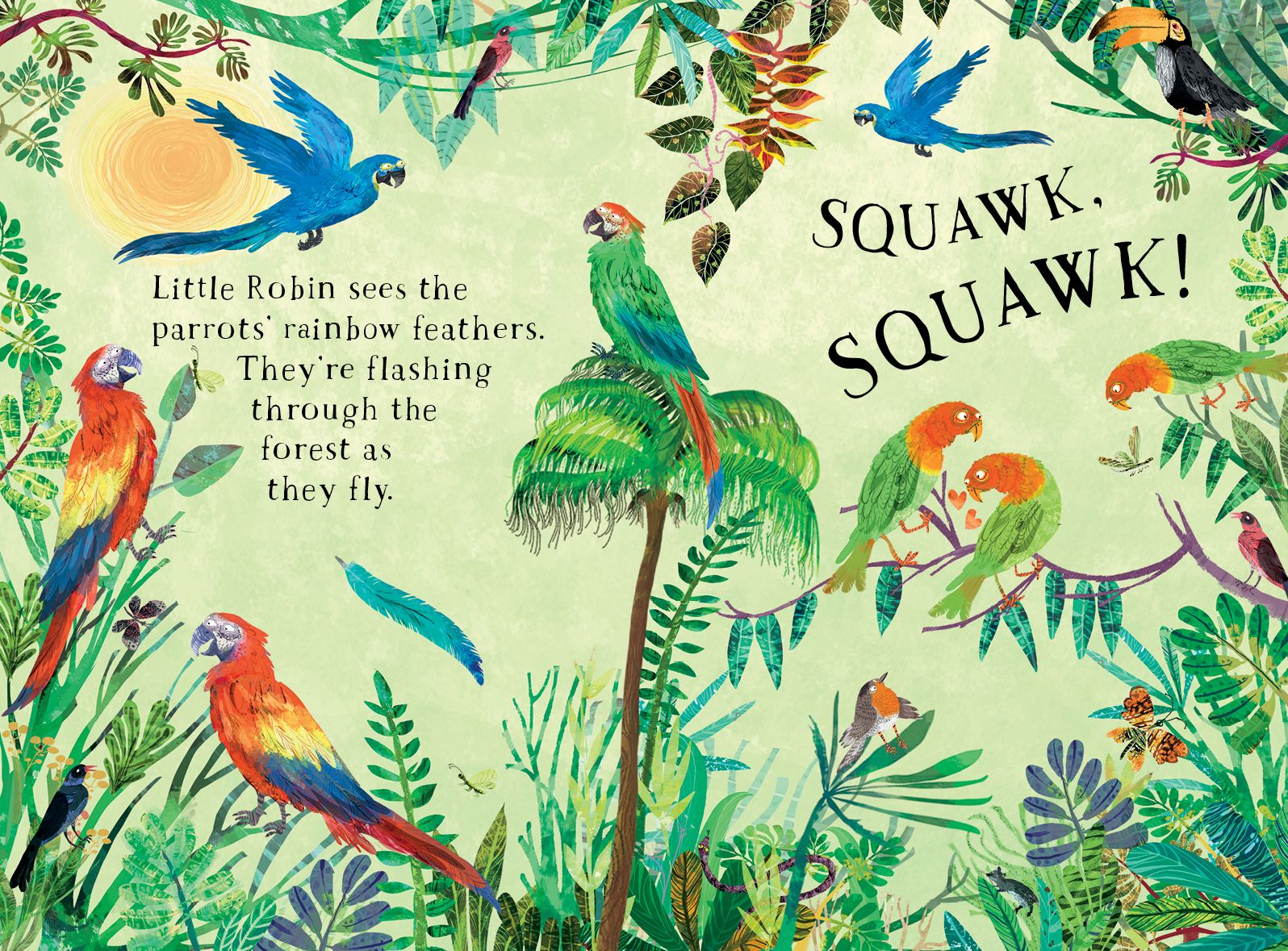 Little Robin's Book of Birds