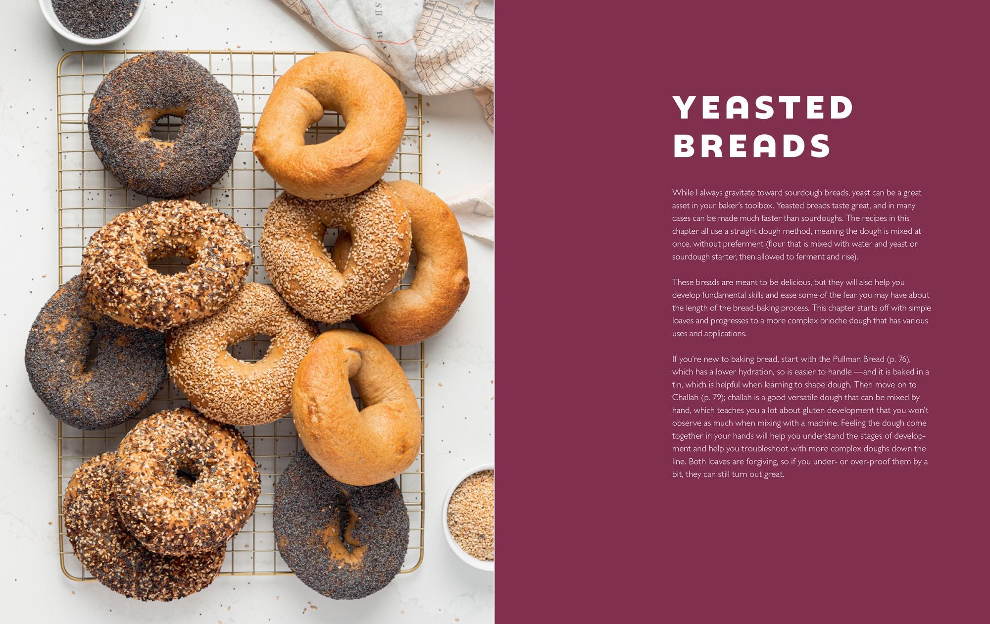 Bread Etc.: Recipes + Techniques for Baking with Sourdough, Yeasted Dough, Pizza Dough + More