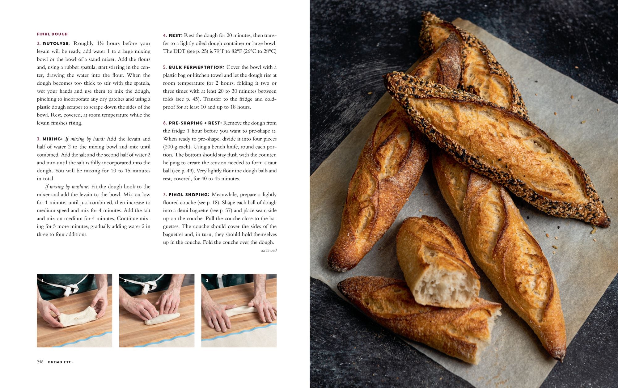 Bread Etc.: Recipes + Techniques for Baking with Sourdough, Yeasted Dough, Pizza Dough + More