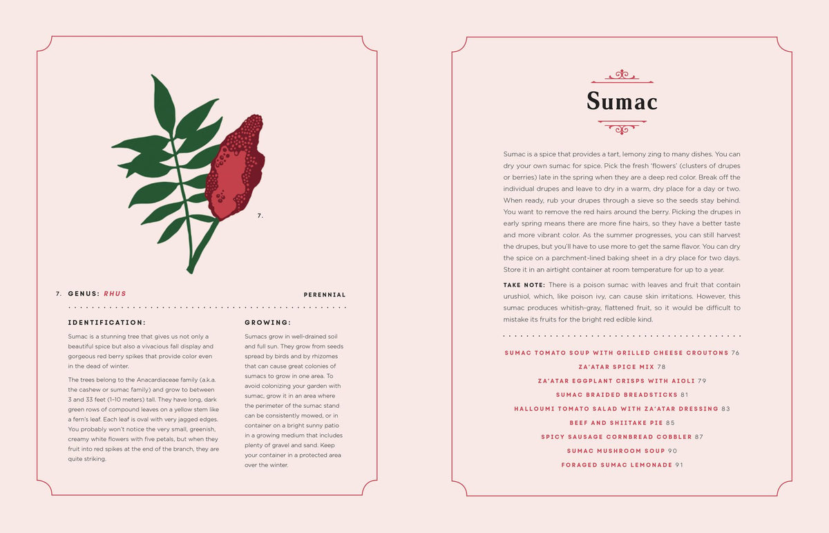 Taste Buds: A Field Guide to Cooking and Baking with Flowers