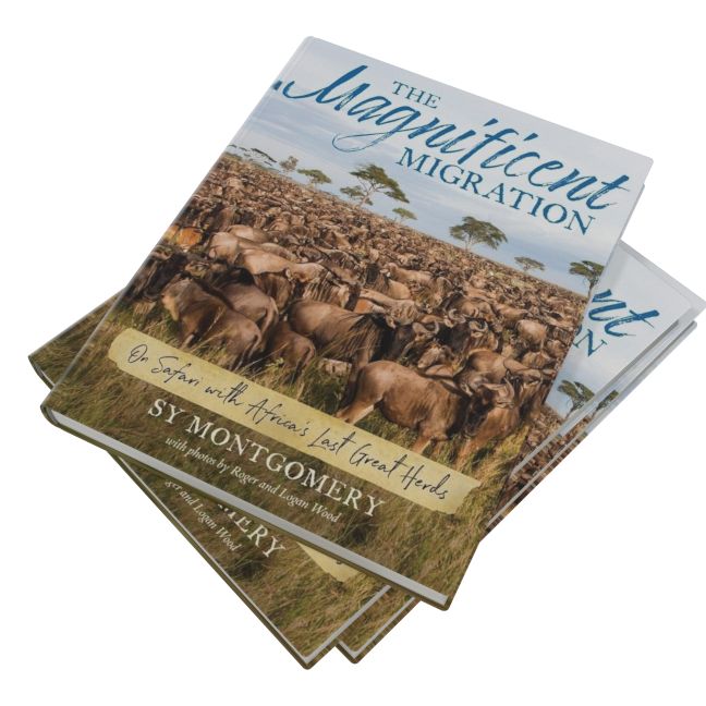 The Magnificent Migration: On Safari with Africa's Last Great Herds