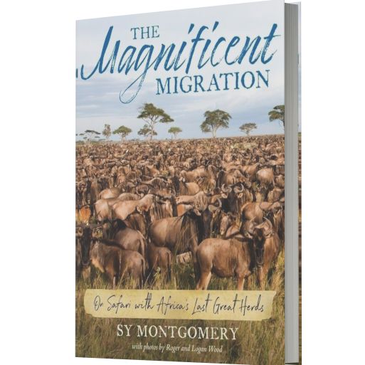 The Magnificent Migration: On Safari with Africa's Last Great Herds