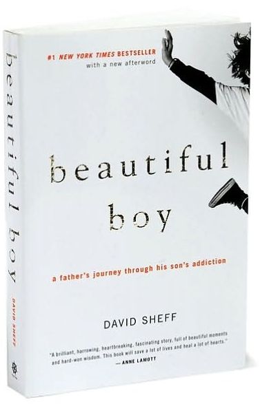Beautiful Boy: A Father's Journey Through His Son's Addiction