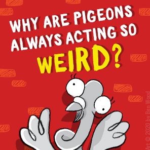 Real Pigeons Fight Crime (Book 1)