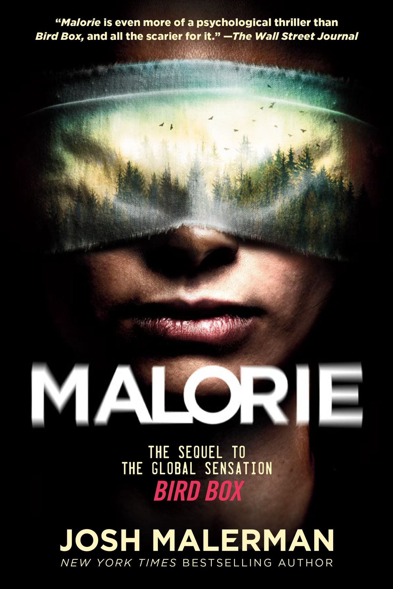 Malorie (Bird Box Sequel)
