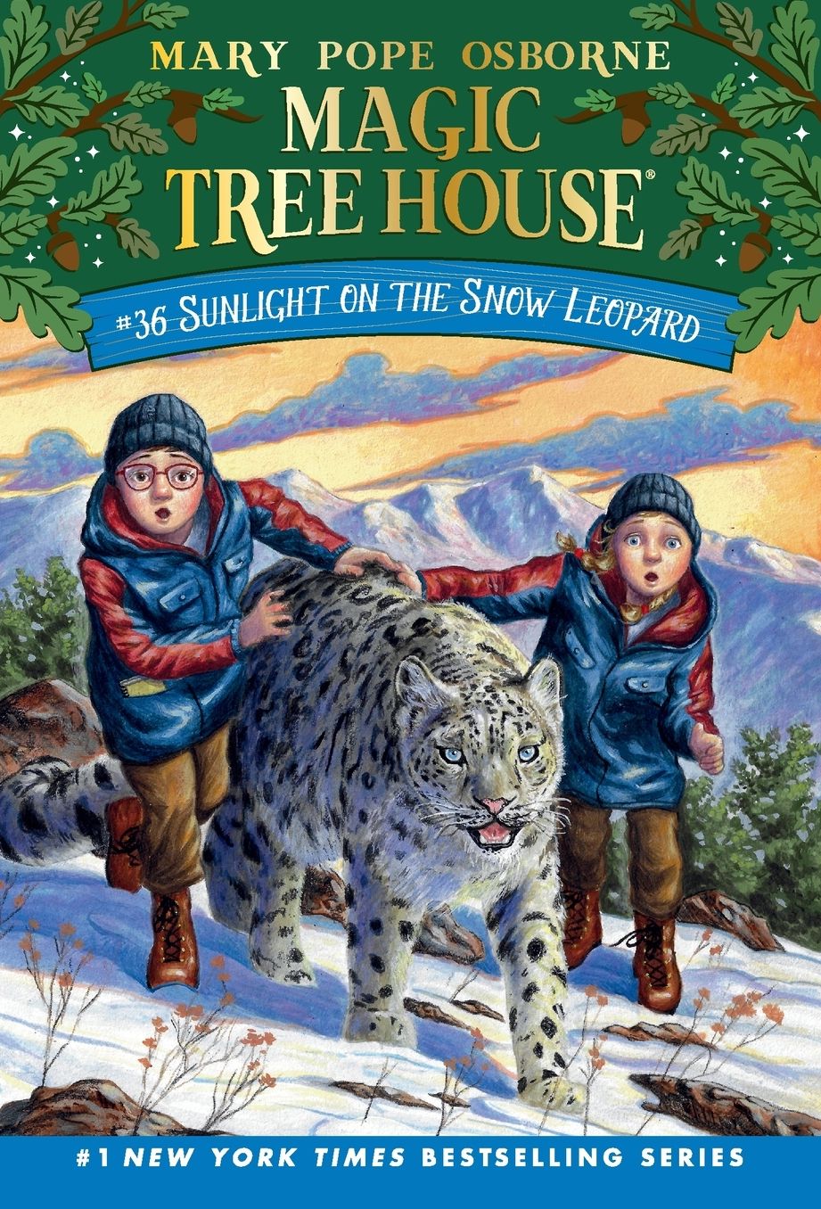 Sunlight on the Snow Leopard