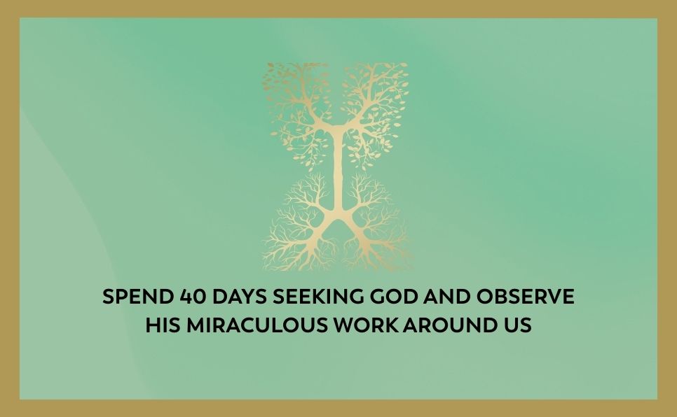 A Million Little Miracles Guided Journal: 40 Reflections to Awaken Wonder