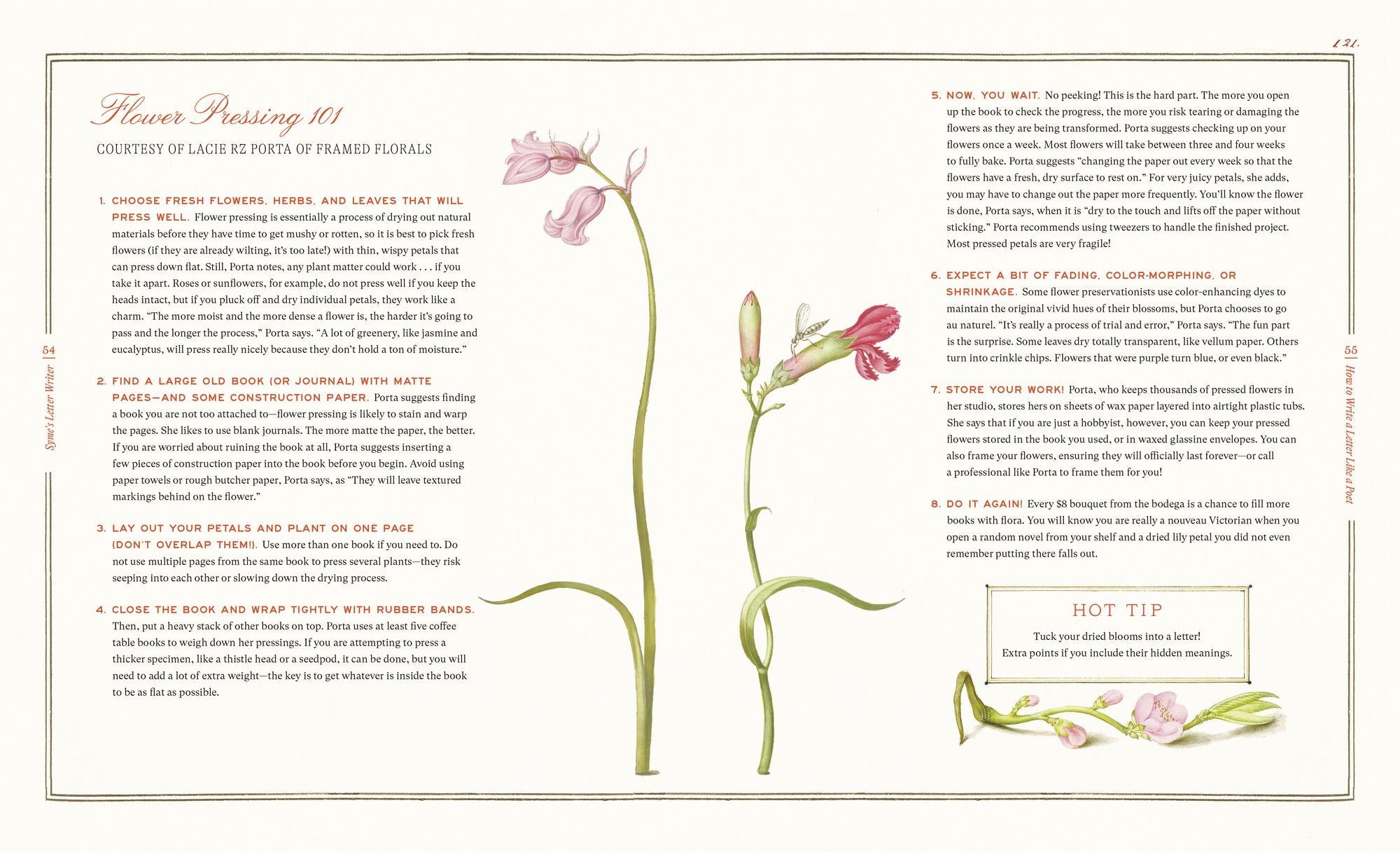 Syme's Letter Writer: A Guide to Modern Correspondence About (Almost) Every Imaginable Subject of Daily Life, with Odes to Desktop Ephemera and Selected Letters of Famous Writers