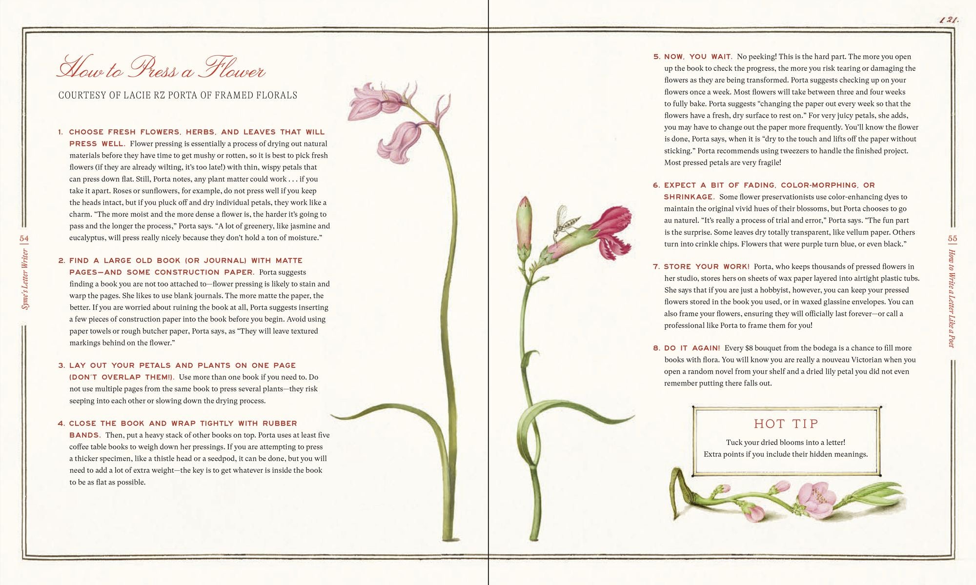 Syme's Letter Writer: A Guide to Modern Correspondence About (Almost) Every Imaginable Subject of Daily Life, with Odes to Desktop Ephemera and Selected Letters of Famous Writers