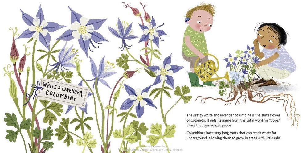 Welcome to Colorado (Welcome To)