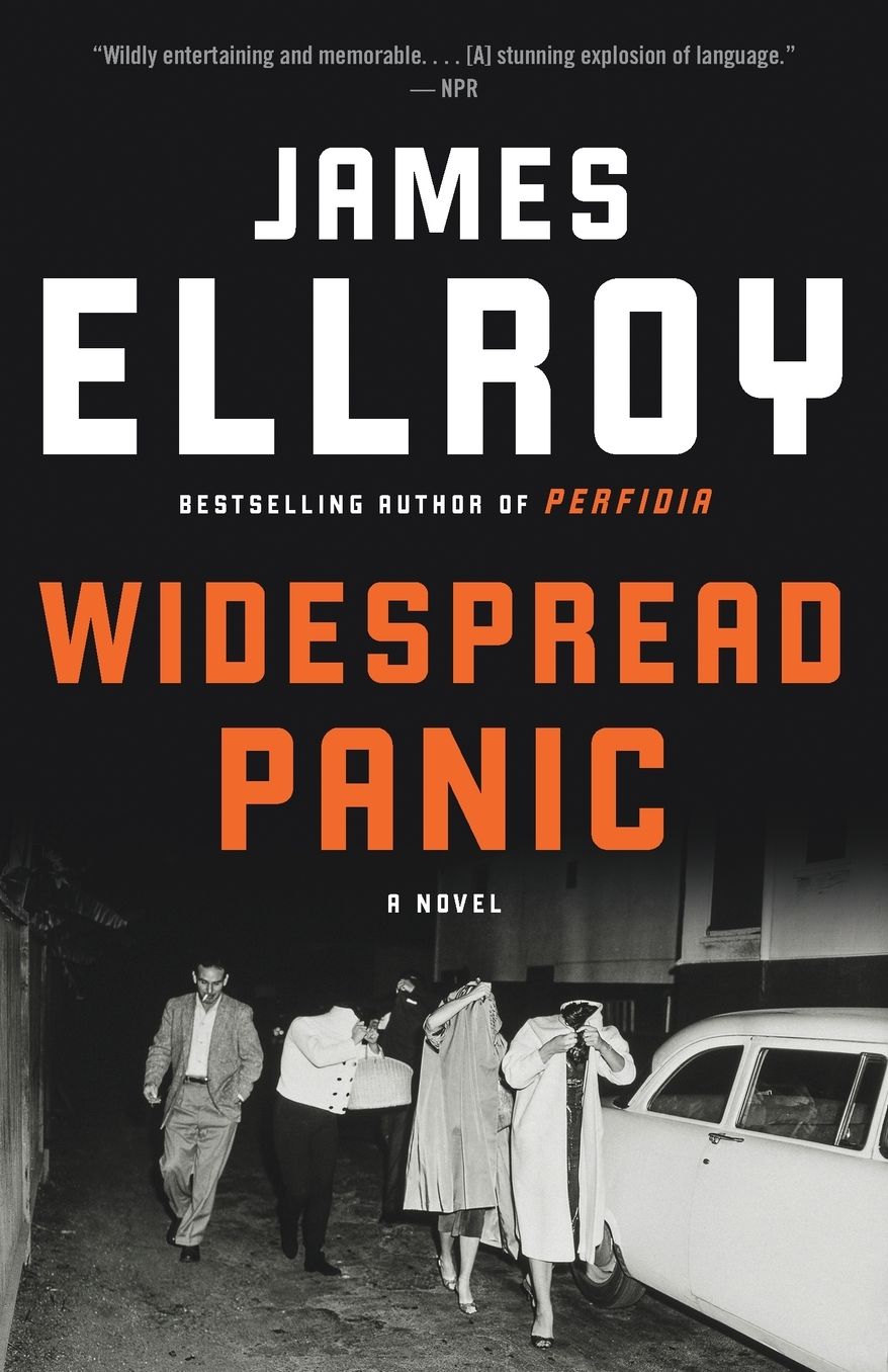 Widespread Panic: A novel
