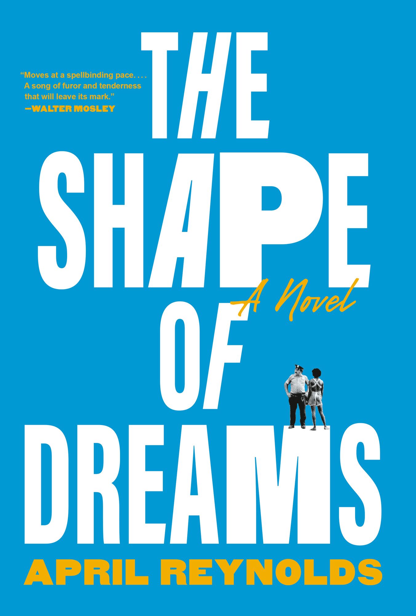 The Shape of Dreams: A Novel