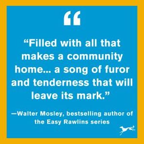 The Shape of Dreams: A Novel