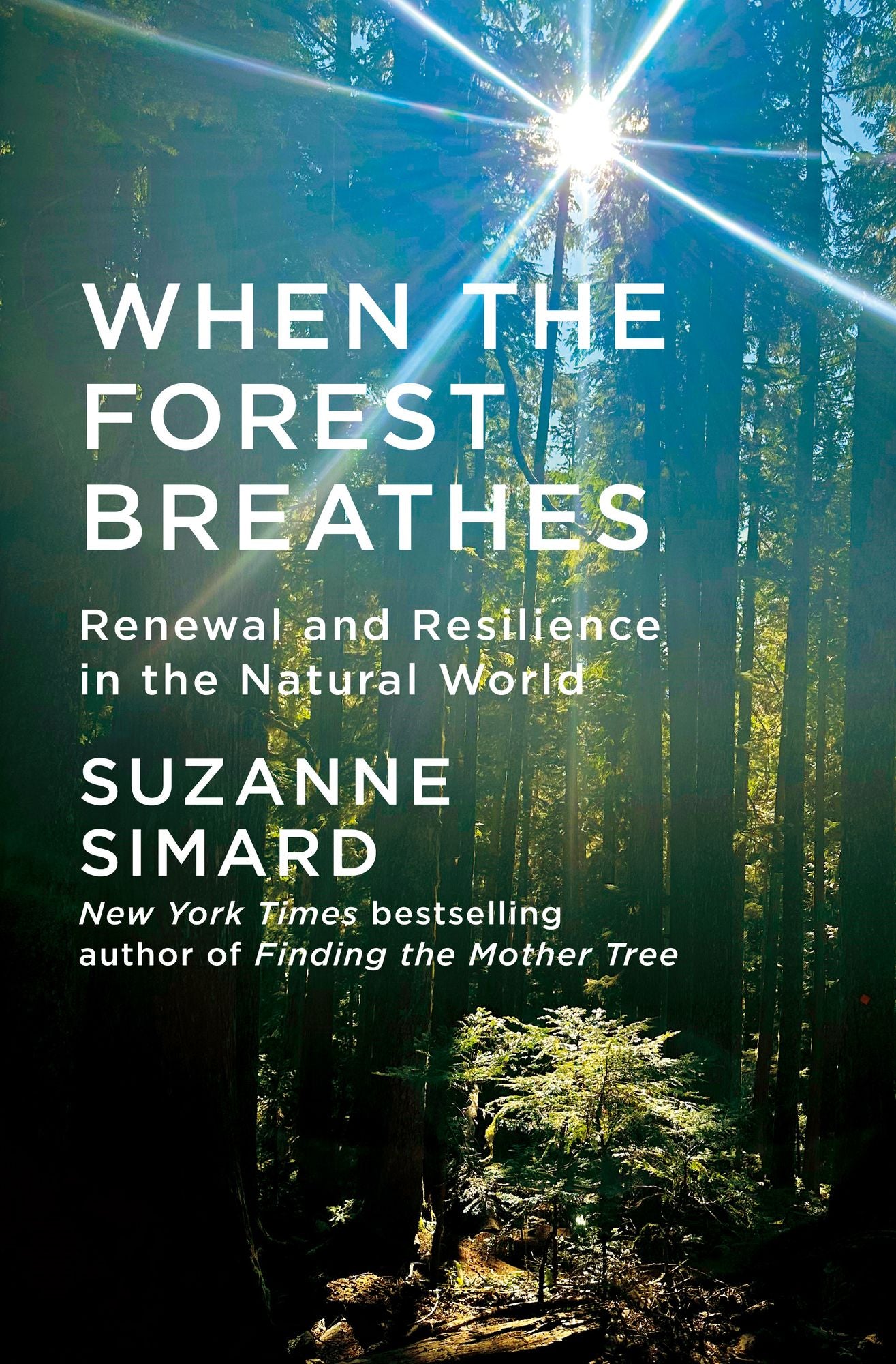 When the Forest Breathes: Renewal and Resilience in the Natural World