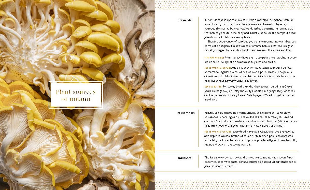 Big Vegan Flavor: Techniques and 150 Recipes to Master Vegan Cooking