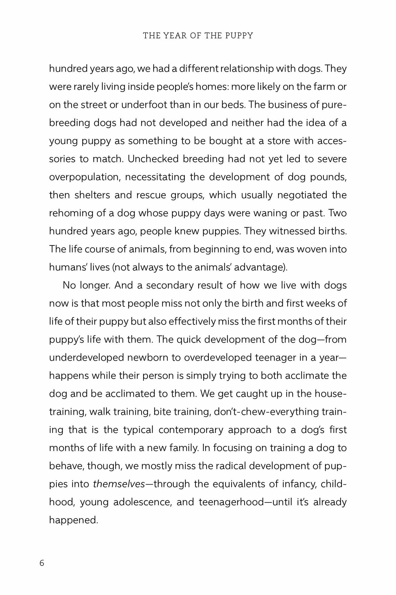 The Year of the Puppy: How a Puppy Becomes Your Dog