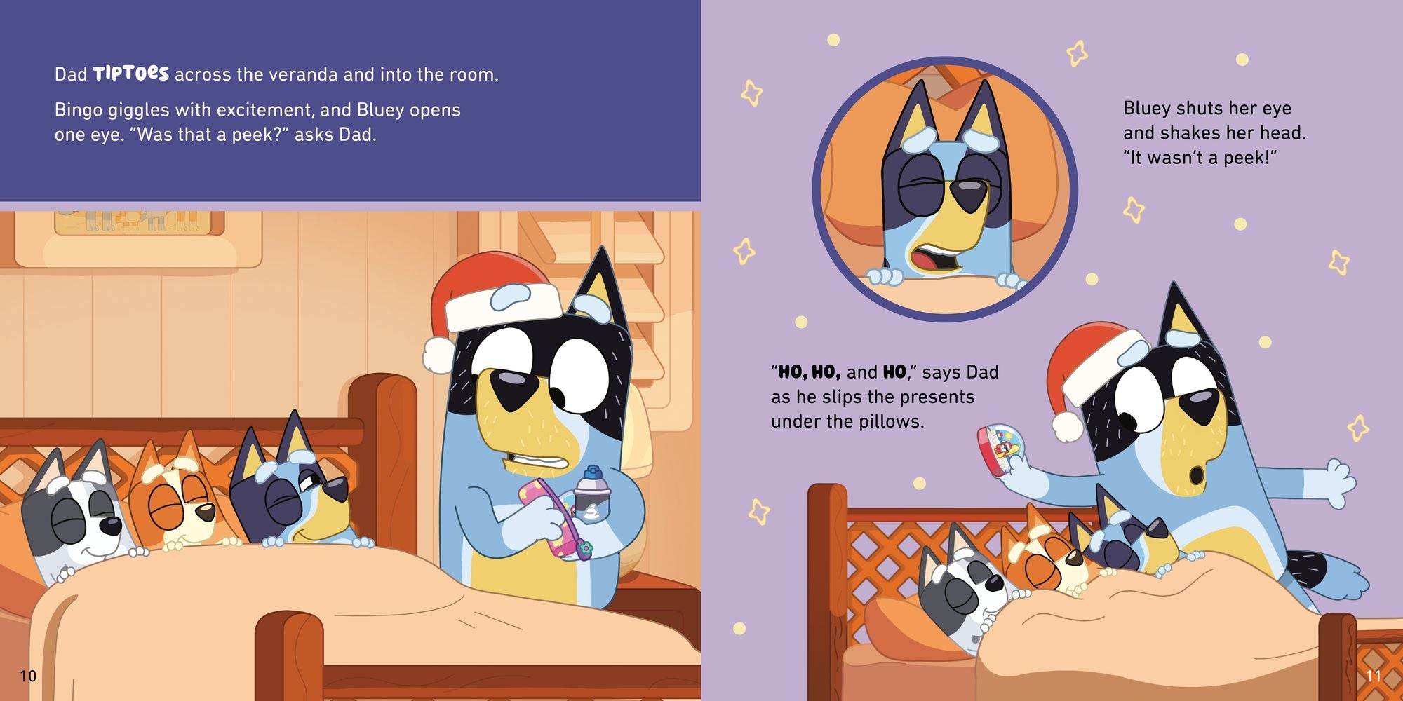 Bluey: Christmas Eve with Veranda Santa