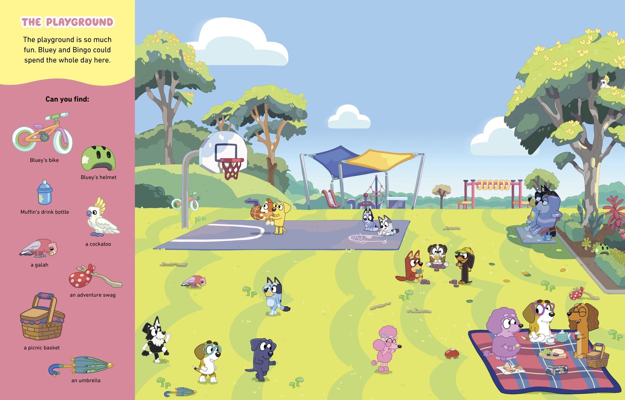 Where's Bluey?: A Search-and-Find Book