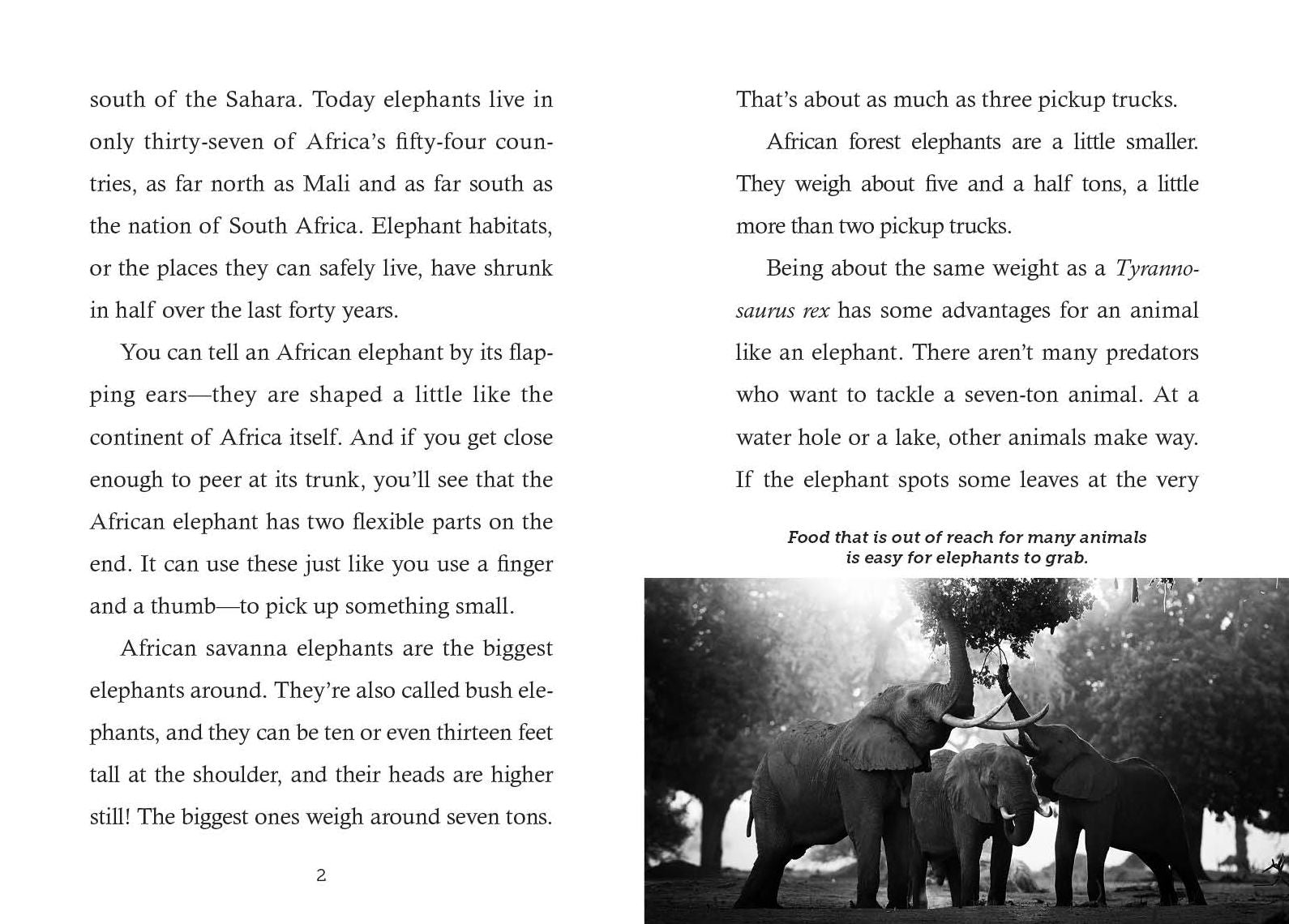 Save the...Elephants