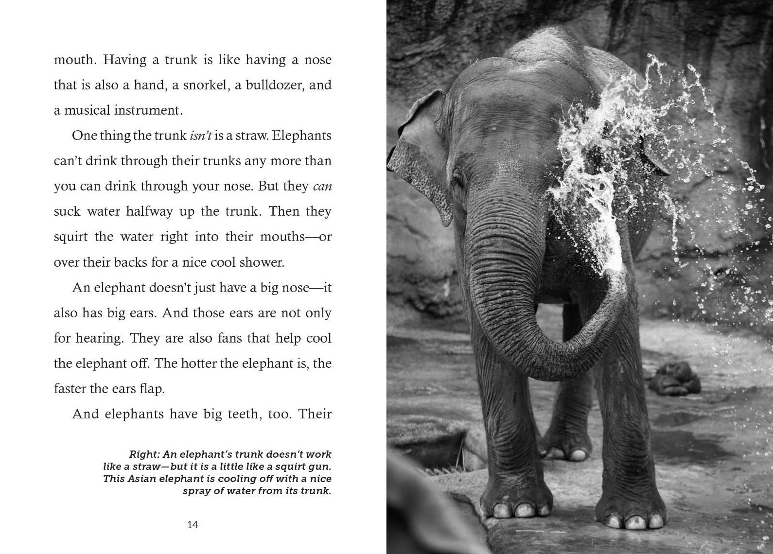 Save the...Elephants