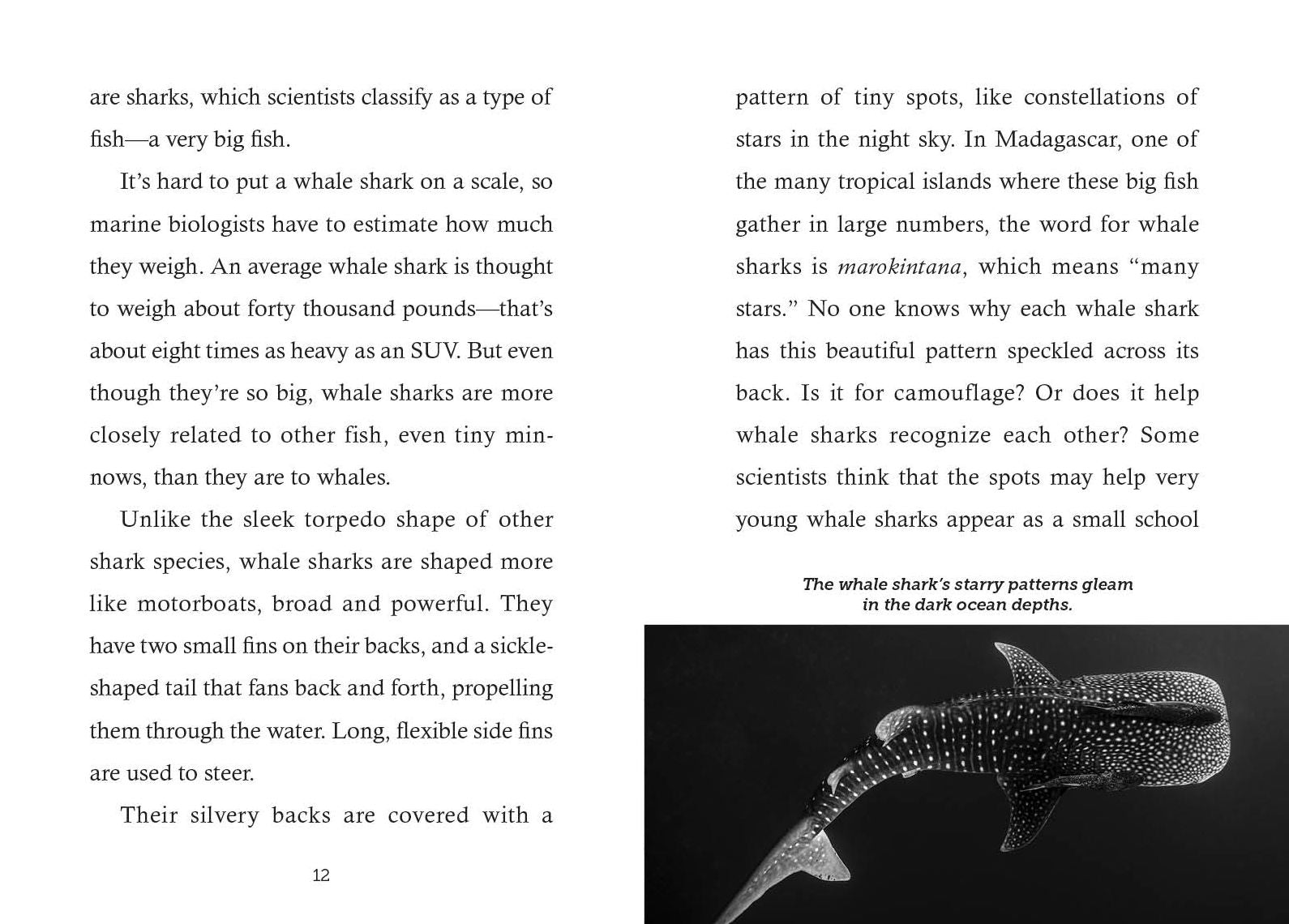 Save the...Whale Sharks