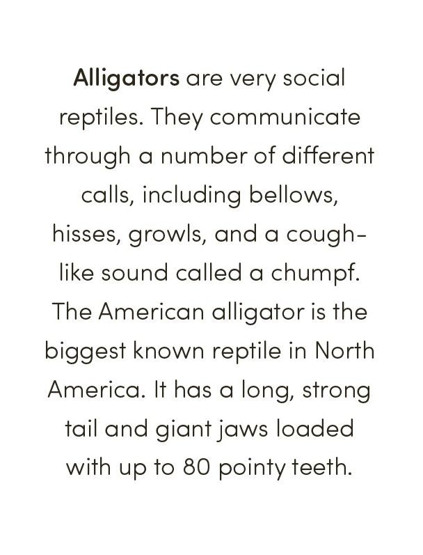 Wild Animal Book for Kids: Coloring Fun and Awesome Facts