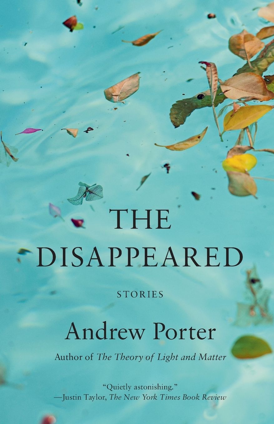 The Disappeared: Stories