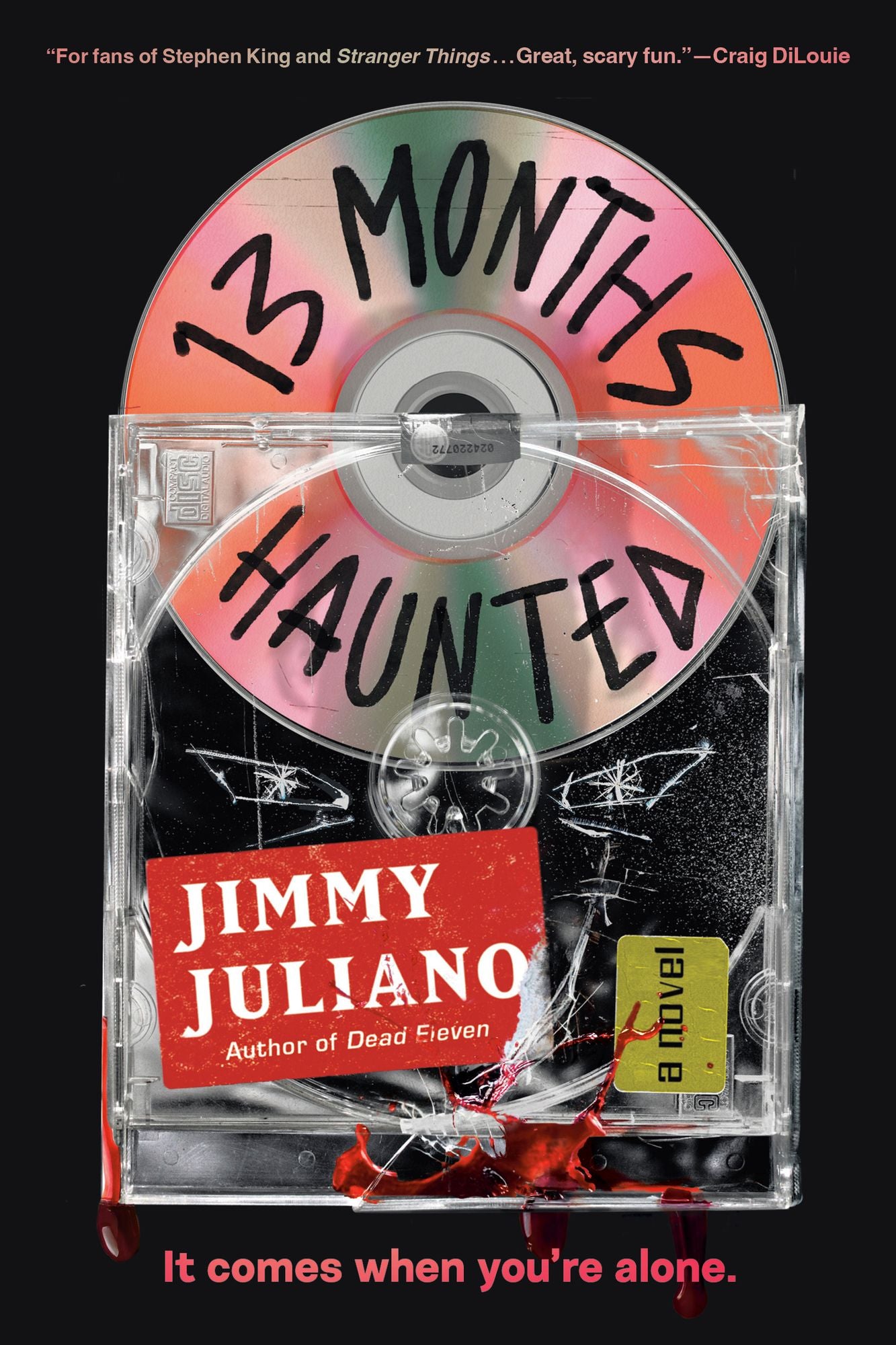 13 Months Haunted: A Novel