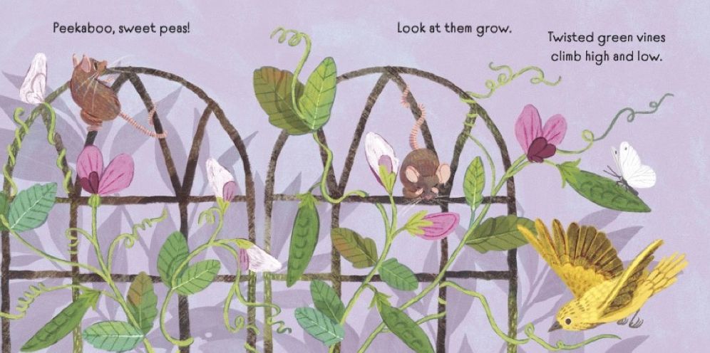 Baby Botanicals: Peekaboo, Flowers!