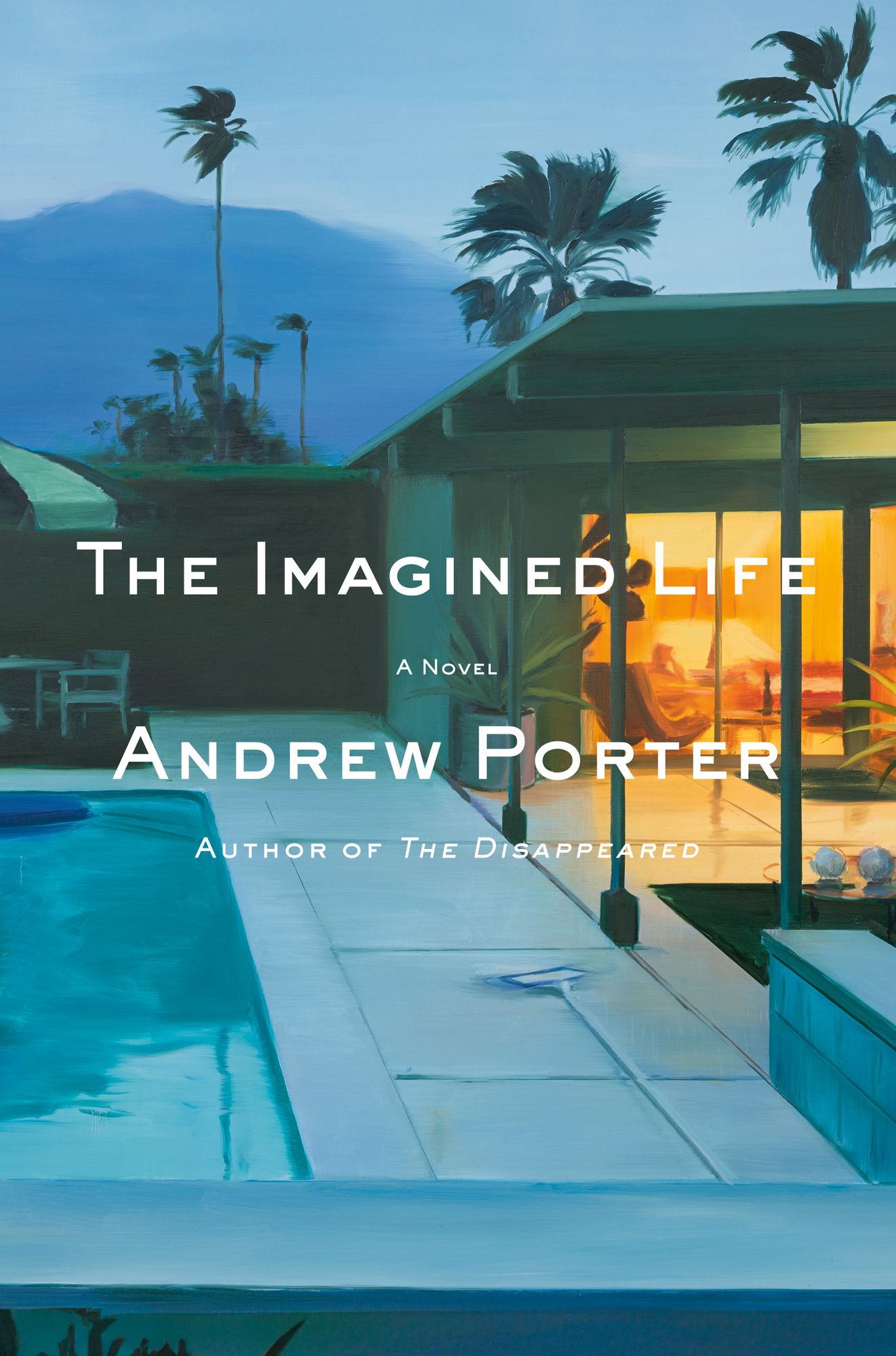 The Imagined Life: A Novel
