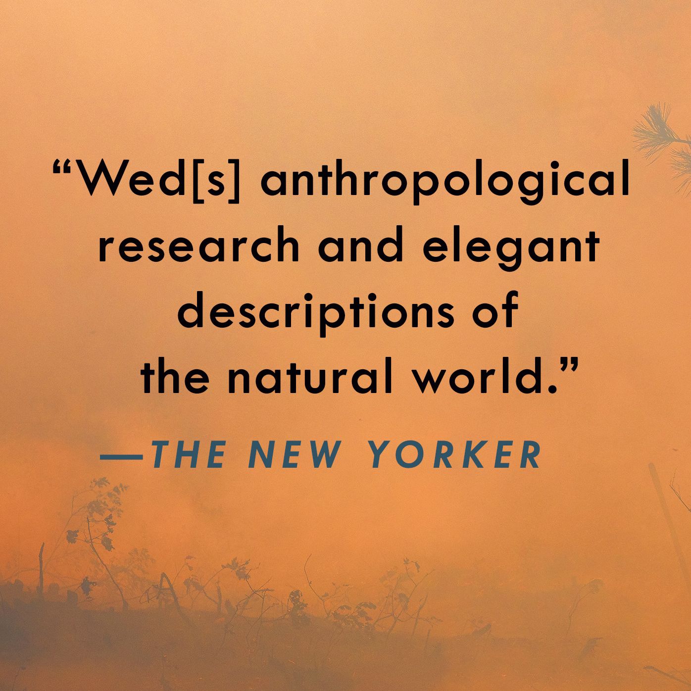 When It All Burns: Fighting Fire in a Transformed World