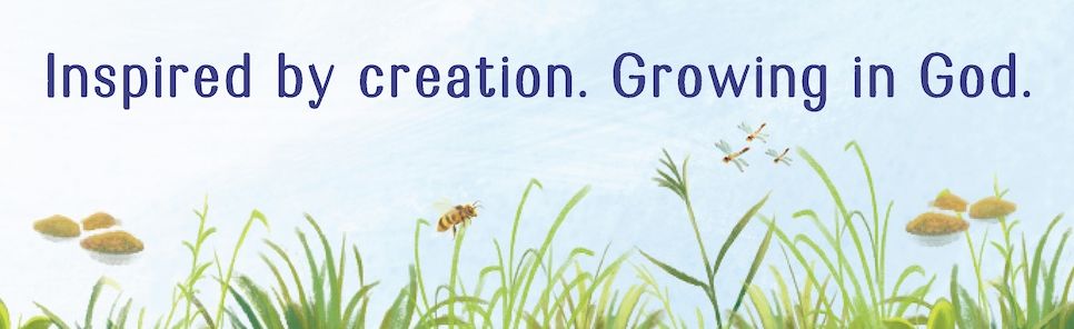 Wild Faith Devotional for Kids: 52 Amazing Animals That Point to One Great God