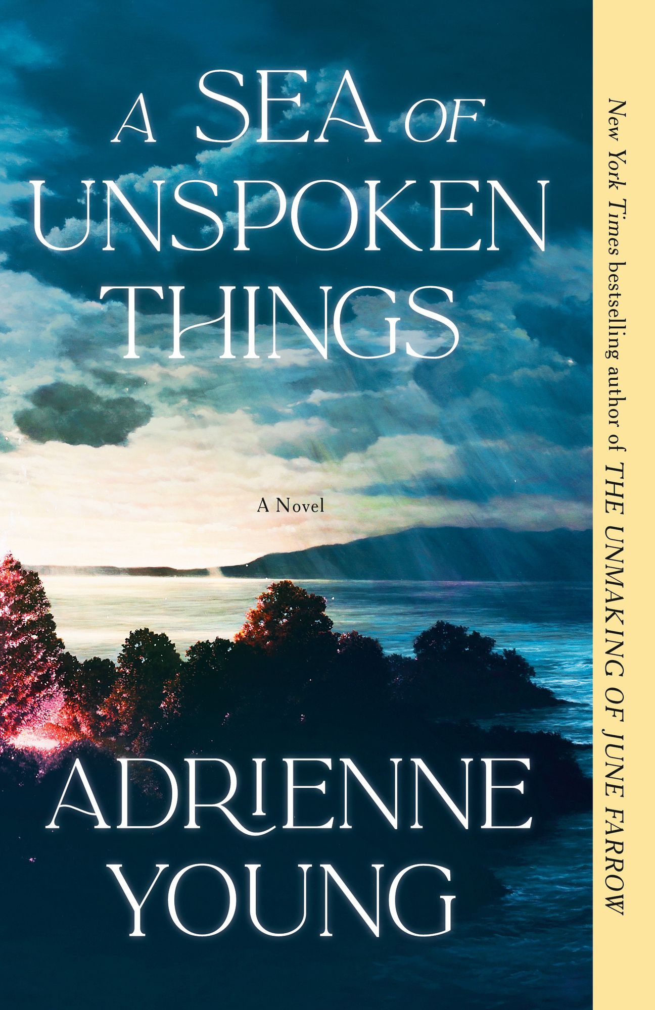 A Sea of Unspoken Things: A Novel